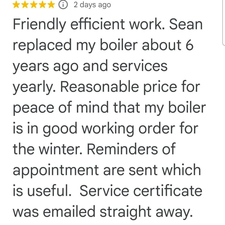 Google review from long-term Worcester boiler service customer in Torquay