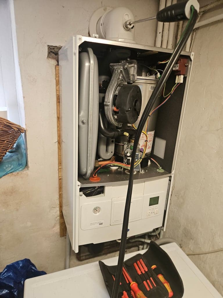 Worcester boiler service testing in Torquay